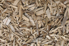biomass boilers Llanbrynmair